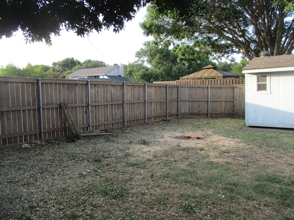 Cleared yard after professional tree removal in Lanesborough